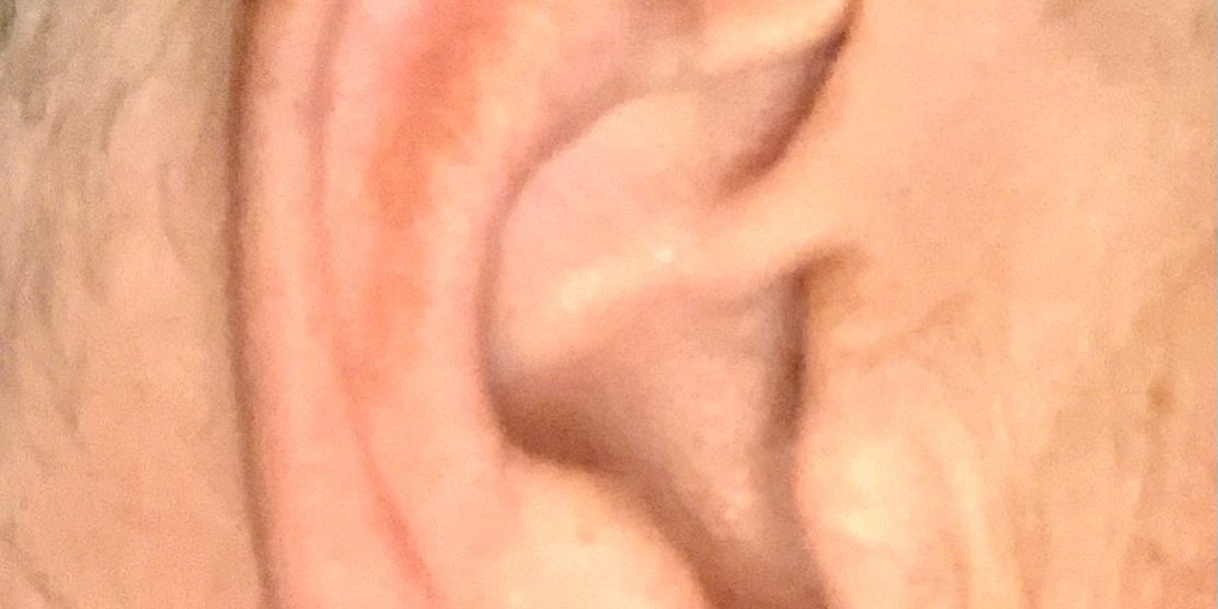 Ear